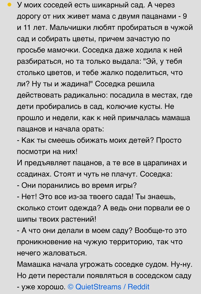 Все из-за твоего сада