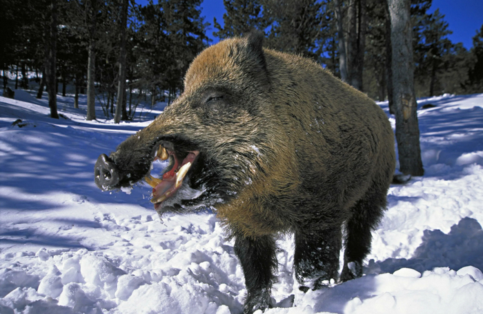 Фу, ну и навоняли!