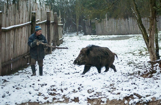 Хорошая попытка, человек, но я не настолько глуп, чтобы поверить в то, что палка умеет стрелять.
