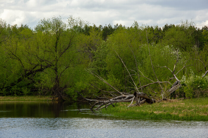 Старые карьеры города Копейска