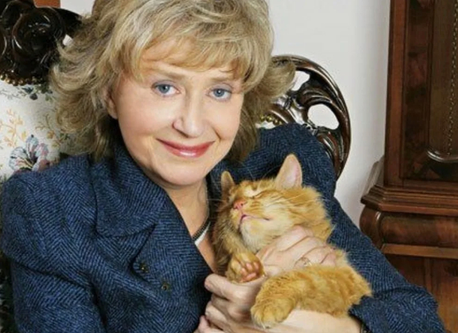 Байка про много котиков