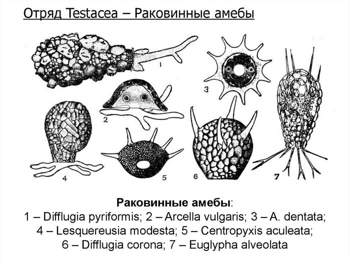 �������� ������������� ������ ���������� ��� 