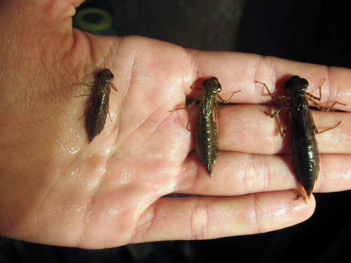 � ������� � ����� ������� ���������� ��������� � ����� �����, �� ������ ����� ����� �����, ��� ��� ���� ������� �������.