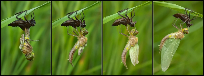 ����������� �������� �� �������� ����� � �������� � ������� �������� �������.