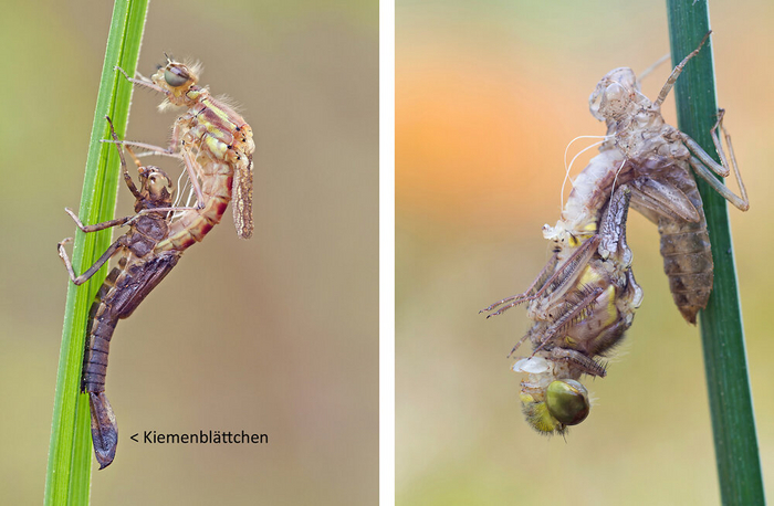 ��������� ��������� �������� ���� �� ������� ����.