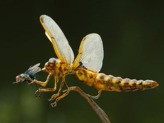 �������� ��� ���� �� ��� ��������� ������ �����!