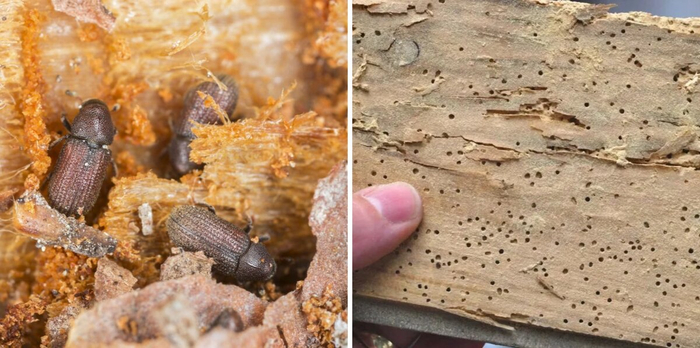   ,   ,  " ".    ,       ,     .