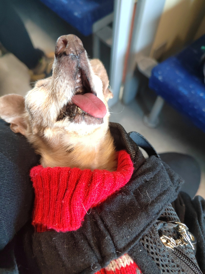 ����� - ��� � ����� ��� ������ ����