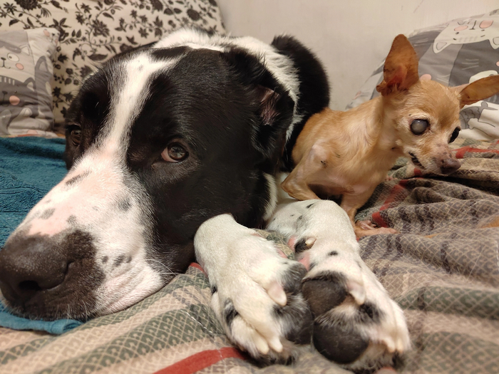 ����� ����� � ����� ����