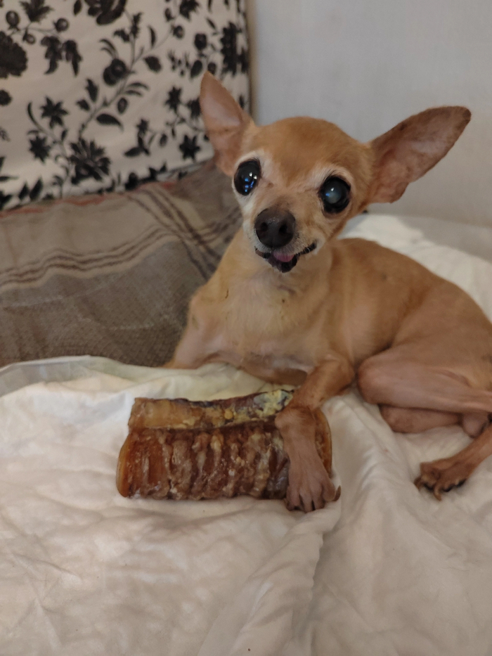 ����� ���� - ����� � �������