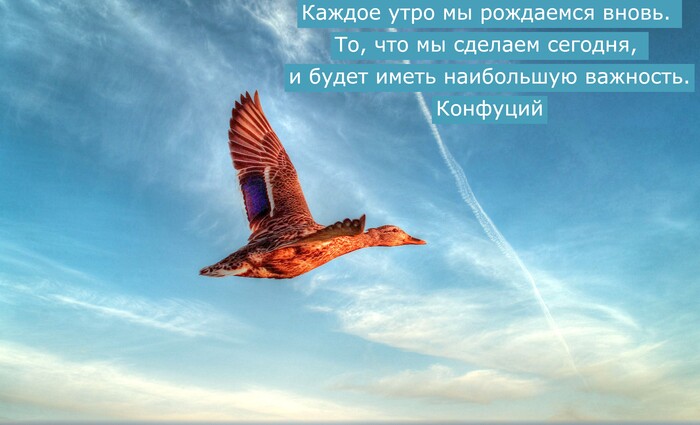 ���� ��� 