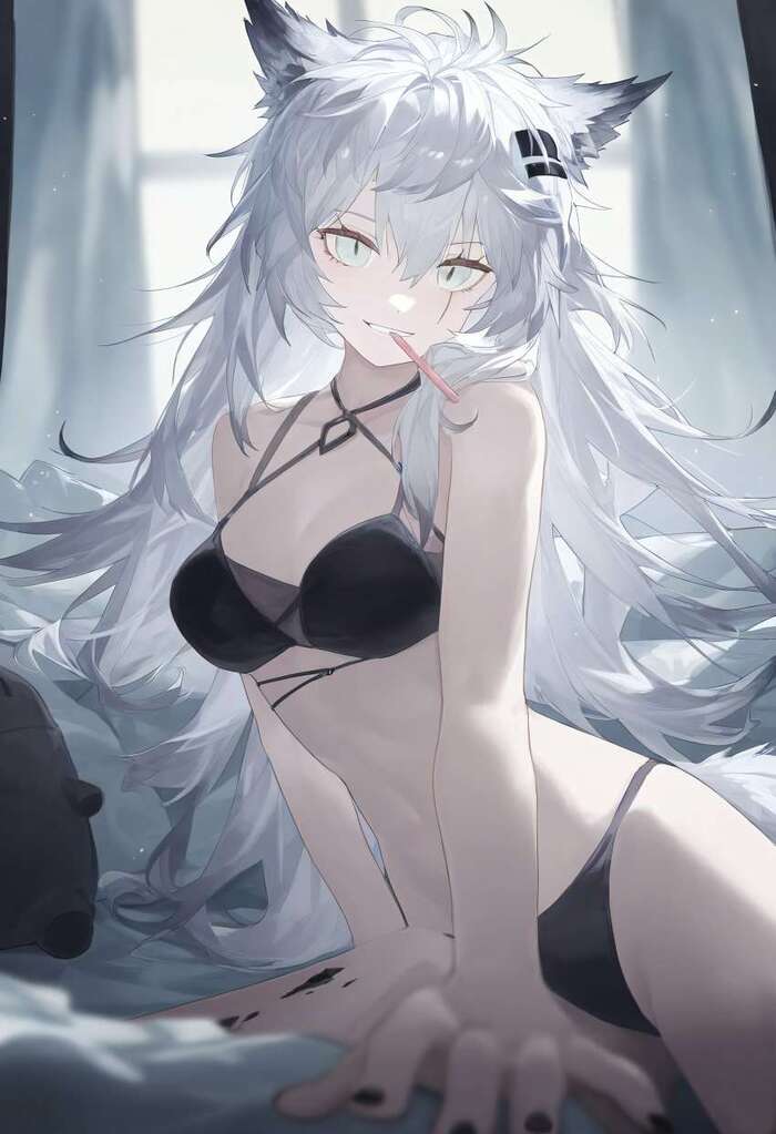 Arknights operators Аниме, Anime Art, Arknights, Lappland, Texas (Arknights), Virtuosa (Arknights), W (Arknights), Theresa (Arknights), Видео, Вертикальное видео, Длиннопост