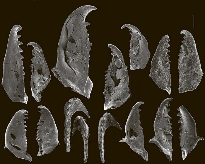 ������������, ��������� � ���������� �������� ������. ������� � ����� 390 ��� ���