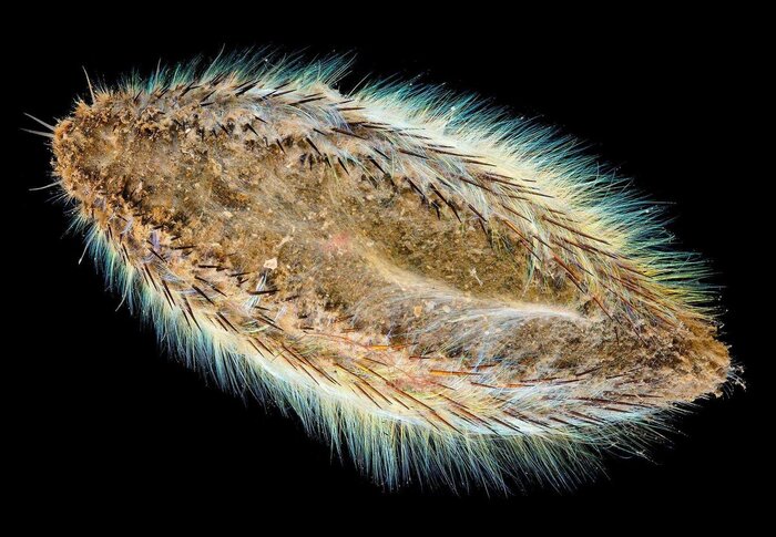 ������� ����. ��� ���� ������ ��������������� �����