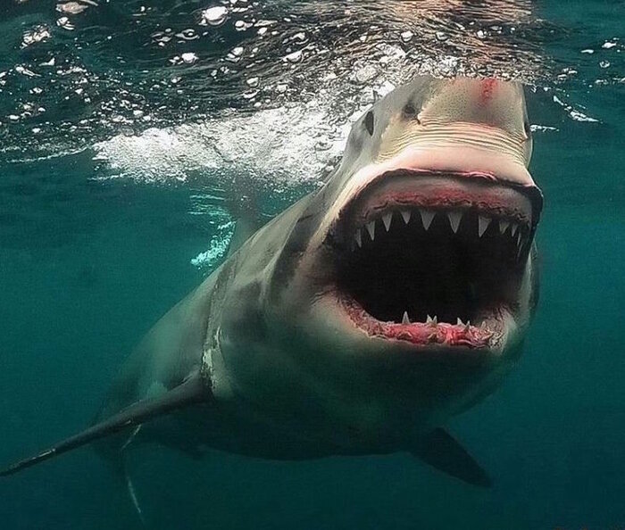 �� ���� ������ �����, ��� ������� ������� ������� ����� ����� �������� ������������ ���� - ����� � ����...