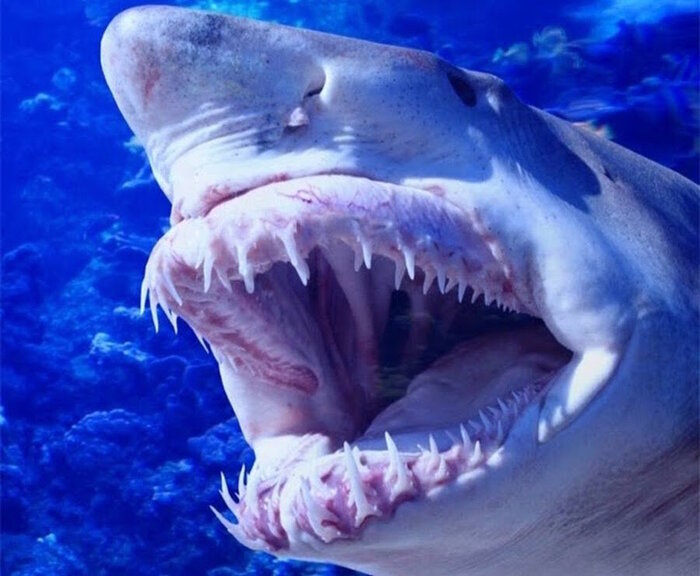 ...� ��� ��� �� ������!