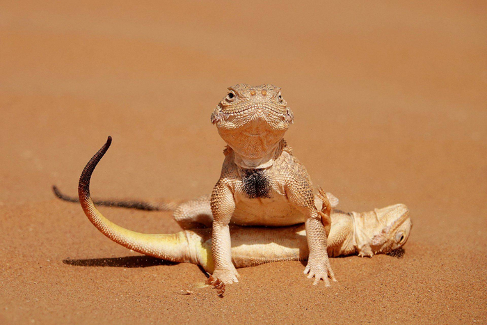 ����� �� ����������� ������� � ������, �� ��� � ������� ������� ����.