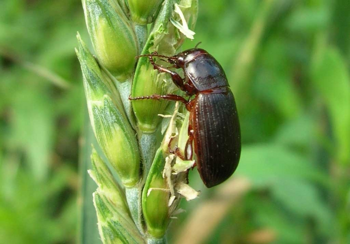 ��, ������ ��� �������! � ����� ����� � ����� � ��������� � ��� ���� ����.