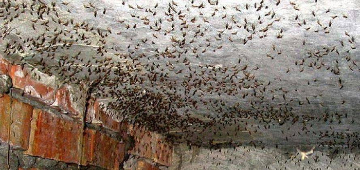 ������ ���� ������� ���������.