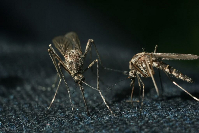 ������ �������� �� ������ �������, �� � ����� �����. ��� ������� ��� ������� ���, � ������� ������� ������ ���������� �� ������� �����������.