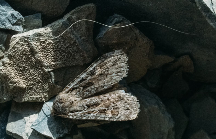 � ������ �������, � �� ����������� �������. ������ ��������� ����!