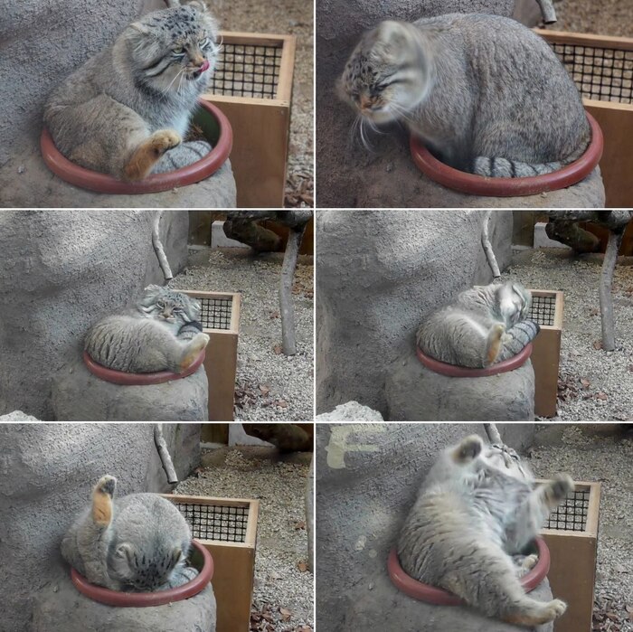 ����� ��������� ������� ����� ����