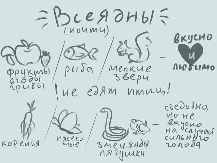 ��� �������� 