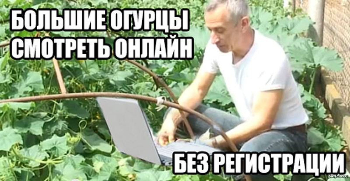 Ответы Mail.ru: Понедельник, между прочим)... так вы сегодня огурцом?))... как и