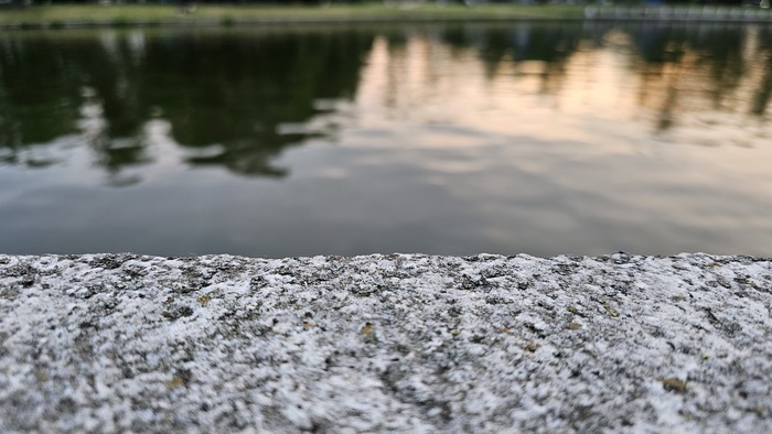 Зачем я начал уделять внимание своему питанию?