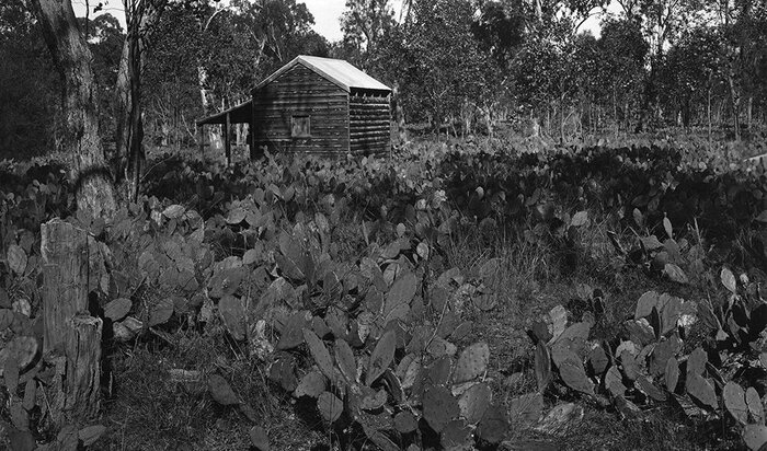 1928 ���. ������� ����� � ��������� ������������ ���������