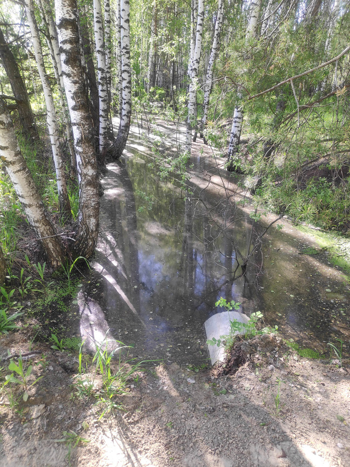 25.05.2024 -     .  - ,   ,    ,        ""   "".