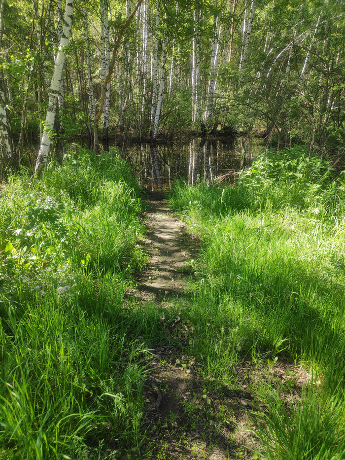 25.05.2024         ,   "".  -  80-100 .  -   .    -        .     ,      .