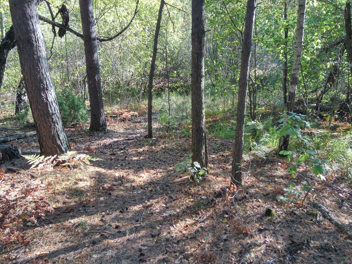 22.09.2017   -      ( <!--noindex--><a href="https://pikabu.ru/story/rost_urovnya_vodyi_v_lesakh_ryazanskoy_oblasti_v_rayone_solotchi_11449560?u=https%3A%2F%2Fyandex.ru%2Fmaps%2F-%2FCDfibSJg&t=https%3A%2F%2Fyandex.ru%2Fmaps%2F-%2FCDfibSJg&h=91de404d41873c65e3ebd42f37668790253a293a" title="https://yandex.ru/maps/-/CDfibSJg" target="_blank" rel="nofollow noopener">https://yandex.ru/maps/-/CDfibSJg</a><!--/noindex--> ).  ,    ,   2017     .