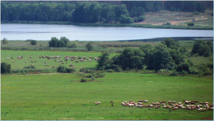 �� ������,������� �� ����