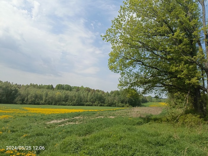 ����� ��� ��������� � ���������