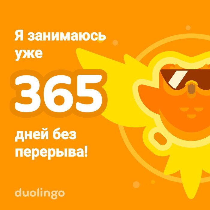 Duolingo -  ! Duolingo,  ,  , , , ,  