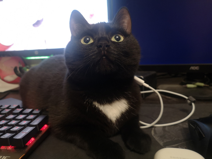 Logitech G703, ���� ��� ��������� ���? ������� 1(3) ��������