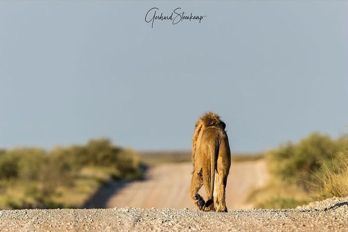 Долгий путь в пустыне