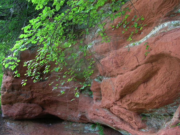 Красноцветные песчаники Оредежа