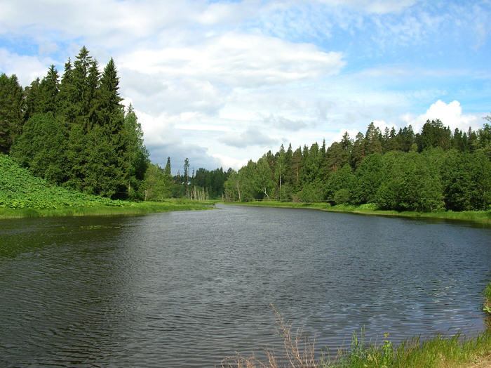 Река Оредеж в районе Белогорки