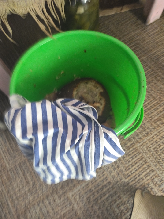 � ����� �� ���� ���! �� ����� ���������� ���� ���� �������!