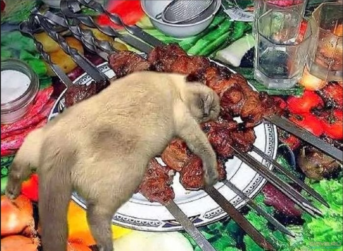 Фото из интернета.