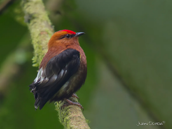        ,  .    ,           106107   ,  ,   