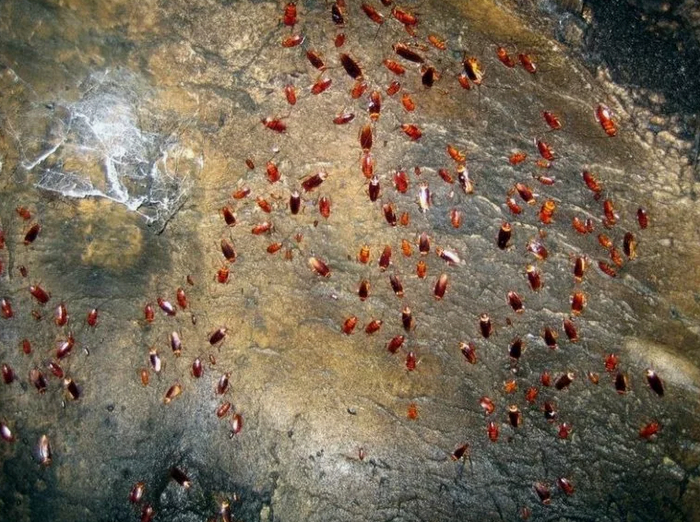 Стены руками трогать я бы тоже не советовала.