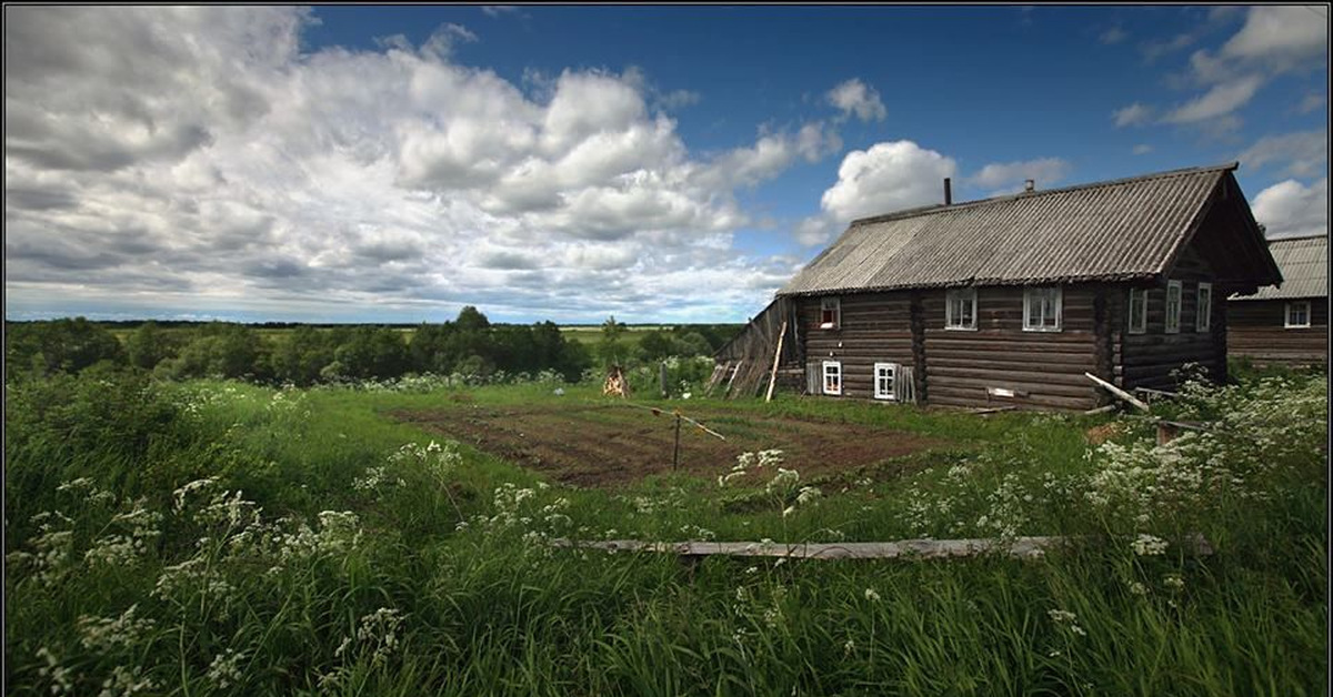 Купить Дом В Шенкурске Архангельской