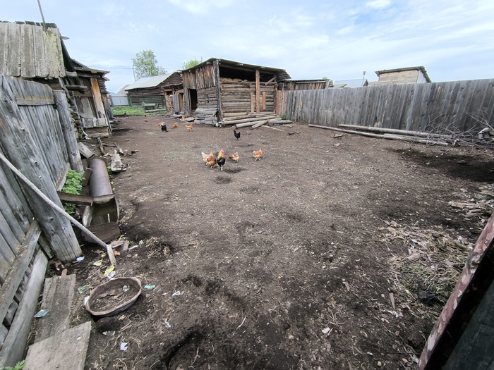 Уже не стало сеновала, разобрали старые стайки... Все равно они были пустые и скота в них уже не было давно.