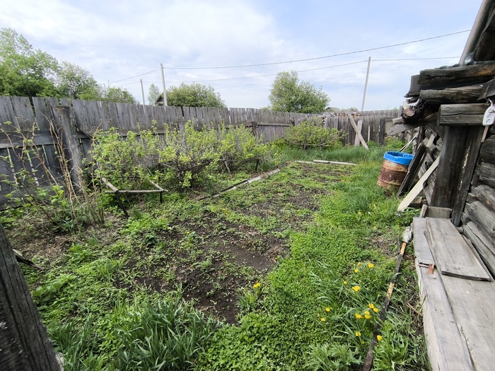 В прошлом сад с ягодами... Сейчас уже и не скажешь.
