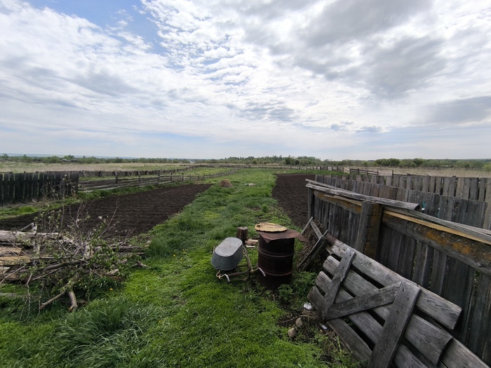 Огород... В эту поездку помог посадить картошку.