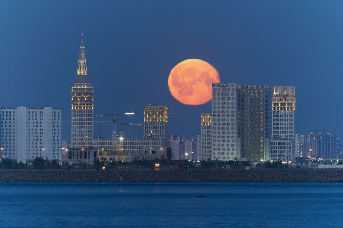    ,     ,        !    ,          ,   ,        600.