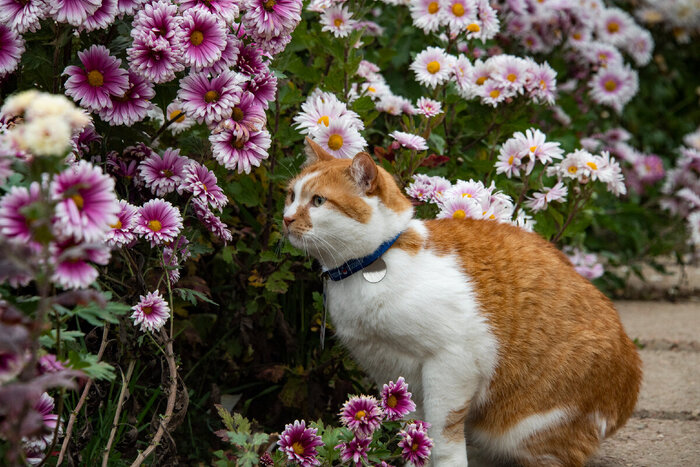 Эля, я просто любуюсь.